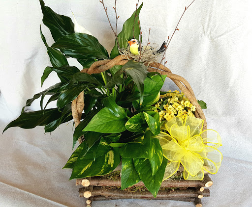 Florist «Midwood Flower Shop», reviews and photos, 2415 Central Ave, Charlotte, NC 28205, USA