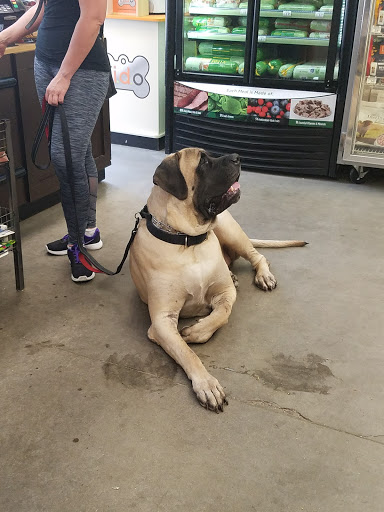 Pet Supply Store «Unleashed by Petco», reviews and photos, 81 7th Ave, Brooklyn, NY 11217, USA