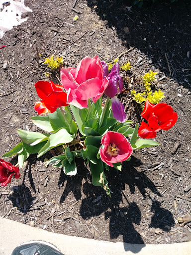 Fabric Store «Jo-Ann Fabrics and Crafts», reviews and photos, 206 S Promenade Blvd, Rogers, AR 72758, USA