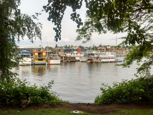 Park «Gas Works Park», reviews and photos, 2101 N Northlake Way, Seattle, WA 98103, USA