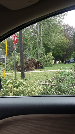 Canoe & Kayak Store «Cannon Falls Canoe and Bike Rental», reviews and photos, 615 N 5th St, Cannon Falls, MN 55009, USA