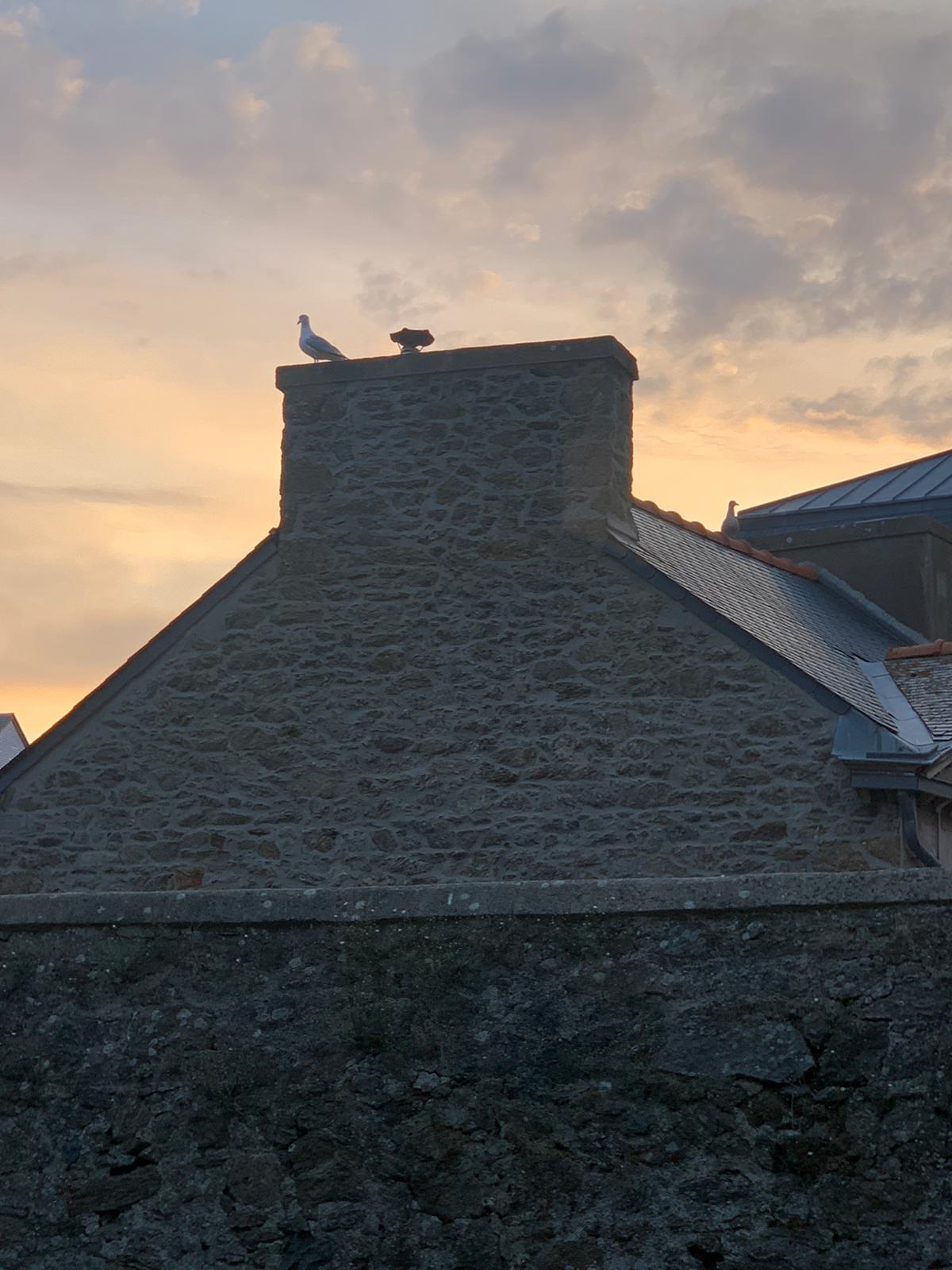 Photo n° 15 de l'avis de SR. fait le 19/09/2020 à 07:24