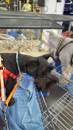 Pet Supply Store «Pet Food Center», reviews and photos, 2243 Lowes Dr E, Clarksville, TN 37043, USA