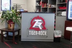 Tiger Rock Academy image