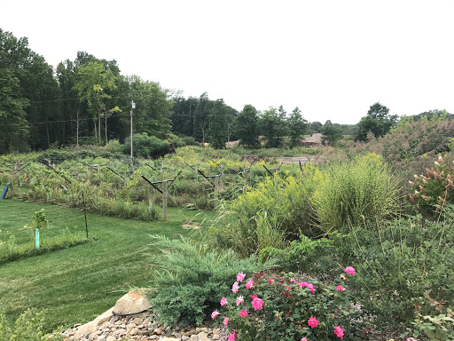 Winery «High & Low Winery», reviews and photos, 588 Medina Rd, Medina, OH 44256, USA