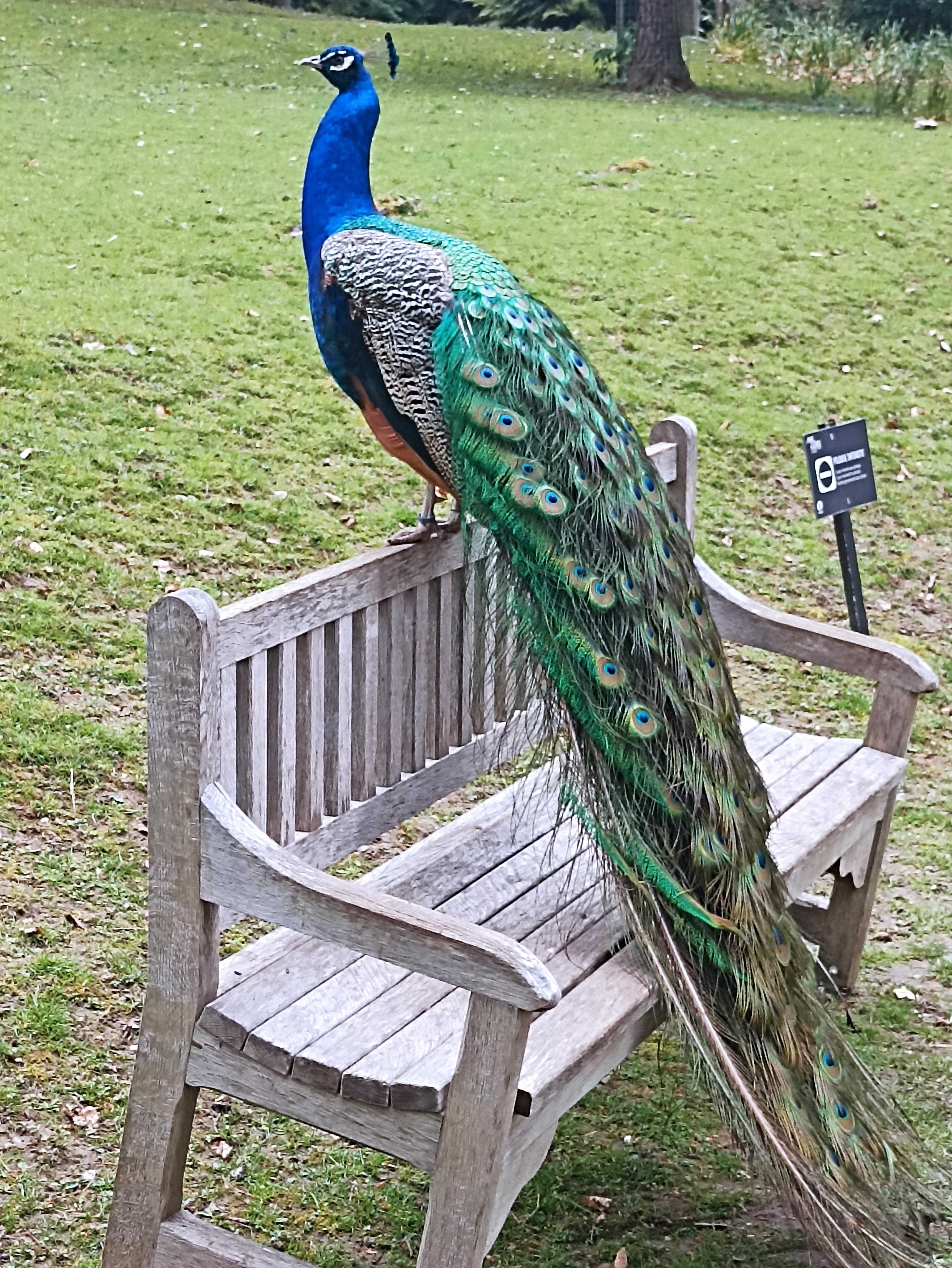 Photo n° 9 de l'avis de INGRID.. fait le 01/05/2023 à 21:03