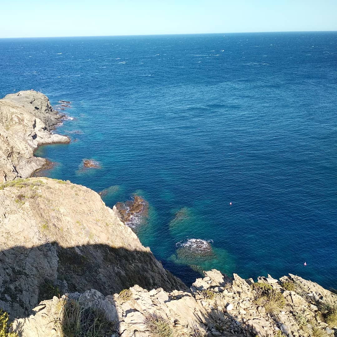 Photo n° 4 de l'avis de TARRAJAT.e fait le 29/07/2019 à 15:33