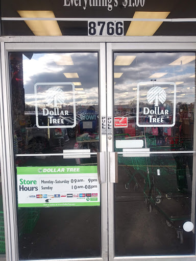 Dollar Store «Dollar Tree», reviews and photos, 8766 W Dempster St, Niles, IL 60714, USA