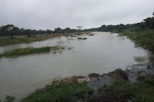 Rani River image