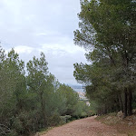 Photo n° 1 de l'avis de aleks.u fait le 10/04/2023 à 20:47 pour Forêt des Pierres Blanches à Sète