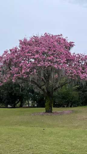 Country Club «Isleworth Golf & Country Club», reviews and photos, 6100 Payne Stewart Dr, Windermere, FL 34786, USA
