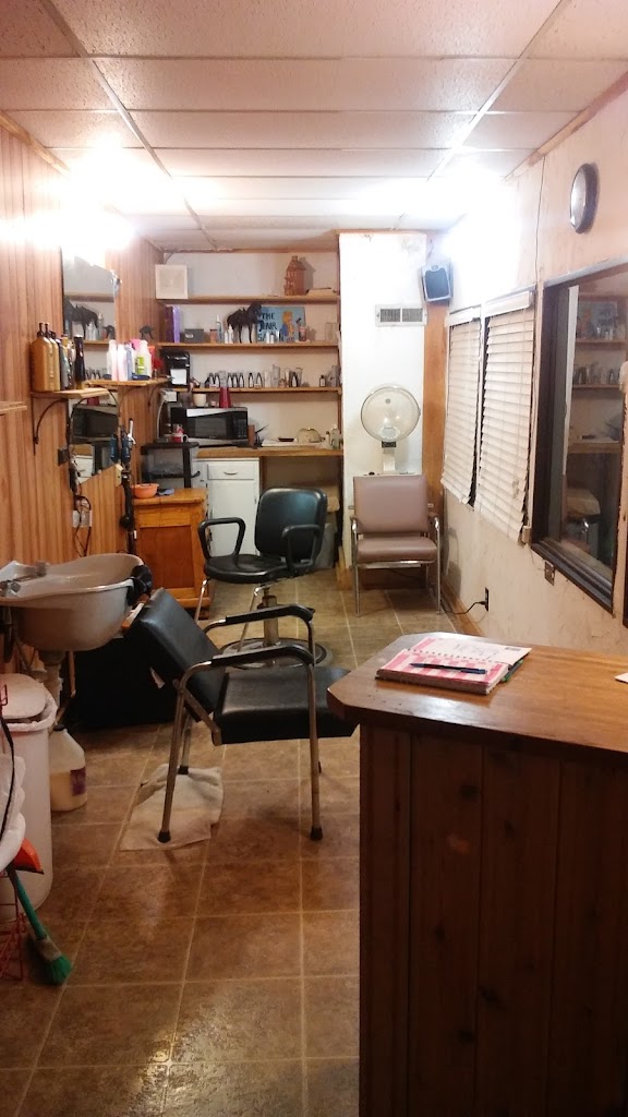 Hair Saloon 24572