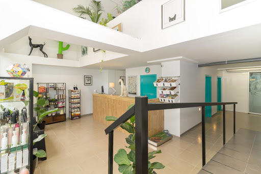 Clínica Veterinaria El Cau en Cornellà de Llobregat