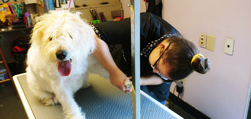 Dog Trainer «Mad 4 My Dog», reviews and photos, 702 E Temperance St, Ellettsville, IN 47429, USA