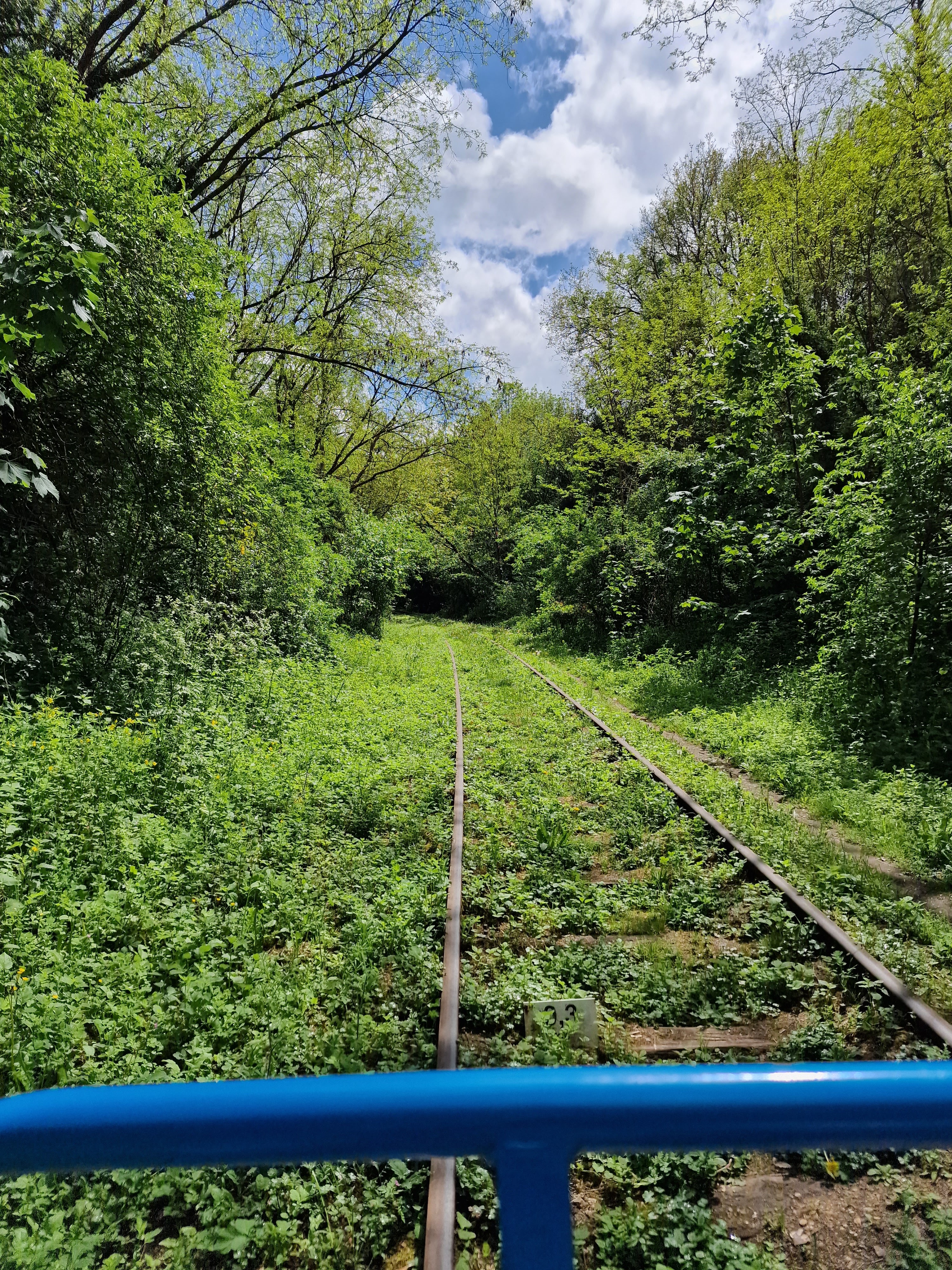 Photo n° 7 de l'avis de Mme.r fait le 01/05/2023 à 17:46