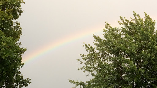 Country Club «Pebblewood Country Club», reviews and photos, 9794 Jericho Rd, Bridgman, MI 49106, USA