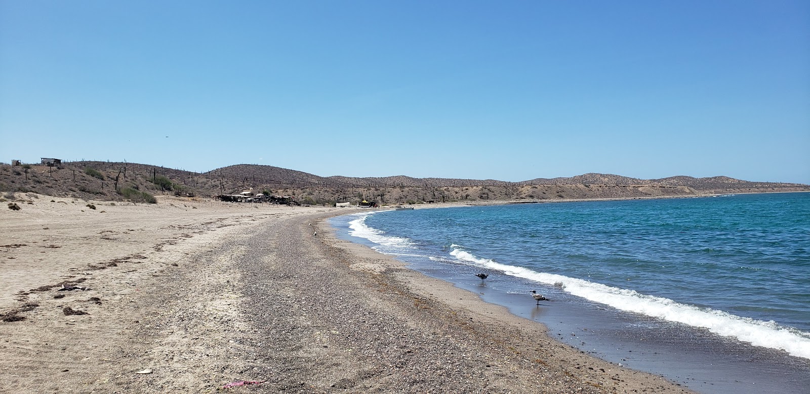 Photo de Playa el Coyote avec sable gris avec caillou de surface