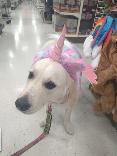 Craft Store «Michaels», reviews and photos, 1614 Stringtown Rd, Grove City, OH 43123, USA