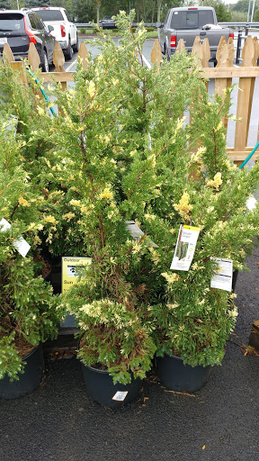 Home Improvement Store «The Home Depot», reviews and photos, 1255 Ten Rod Rd, North Kingstown, RI 02852, USA