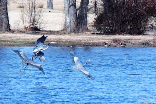 Park «Wyndamere Park», reviews and photos, 4101 Ware Neck Dr, Virginia Beach, VA 23456, USA