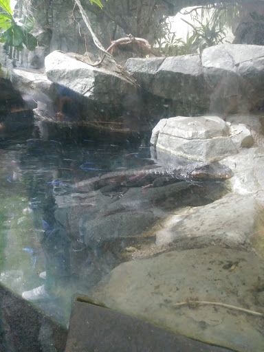 Gift Shop «Minnesota Zoo Gift Shop», reviews and photos, 13000 Zoo Blvd, Apple Valley, MN 55124, USA