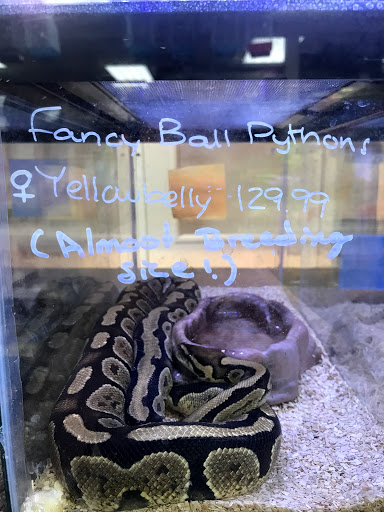 Pet Store «Animal Ark Pet Stores», reviews and photos, 33 Center St, Orem, UT 84057, USA