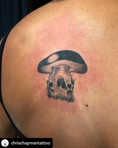 Explore parrot tattoo ideas, creative tattoo ideas in Libertyville, available at Lucky Seven Tattoo