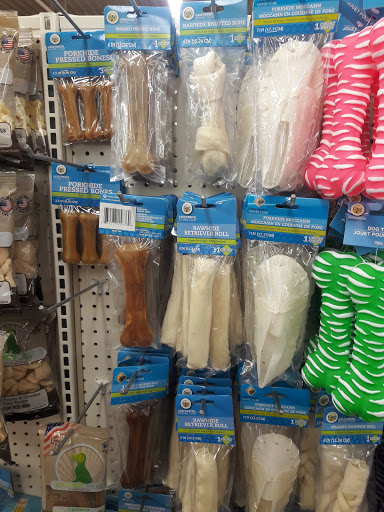 Dollar Store «Dollar Tree», reviews and photos, 912 River St Ste 100, Hyde Park, MA 02136, USA