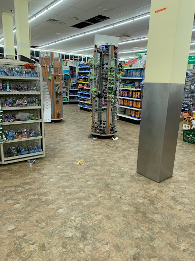 Dollar Store «Dollar Tree», reviews and photos, 152 Middle Neck Rd, Great Neck, NY 11021, USA