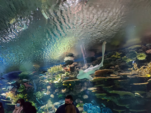 Aquarium «New York Aquarium», reviews and photos, 602 Surf Ave, Brooklyn, NY 11224, USA