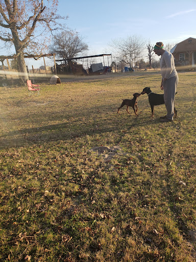 Animal Medical & Surgical Hospital