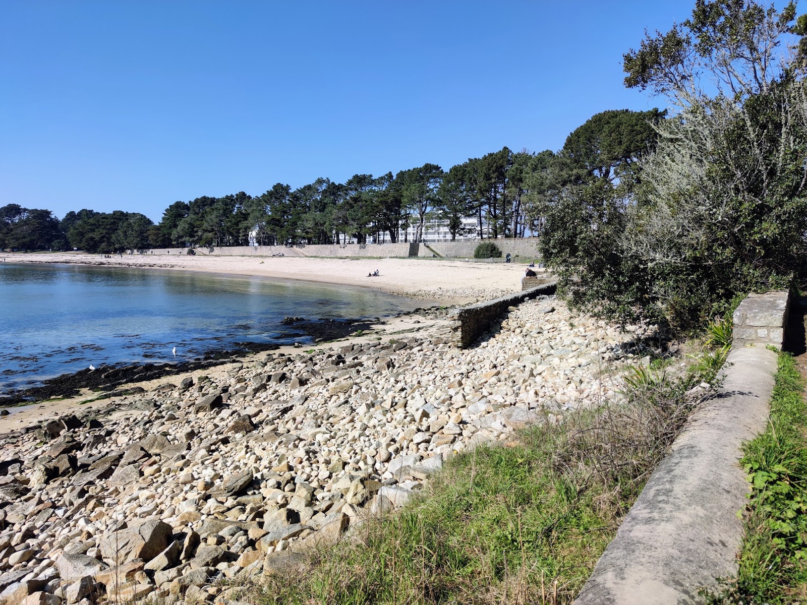 Zdjęcie Plage de Men er Bellec dziki obszar