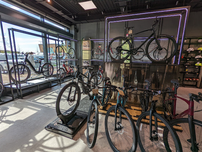 Reviews of Specialized Concept Store Norwich in Norwich - Bicycle store
