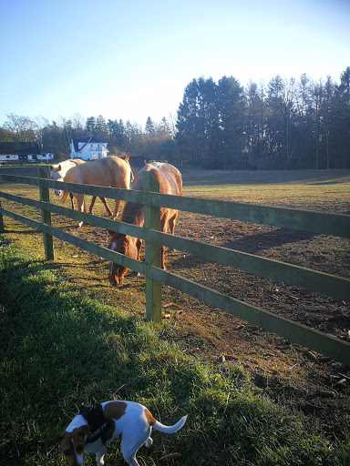 Tuse Creek Ranch in Regstrup, Høje-Taastrup