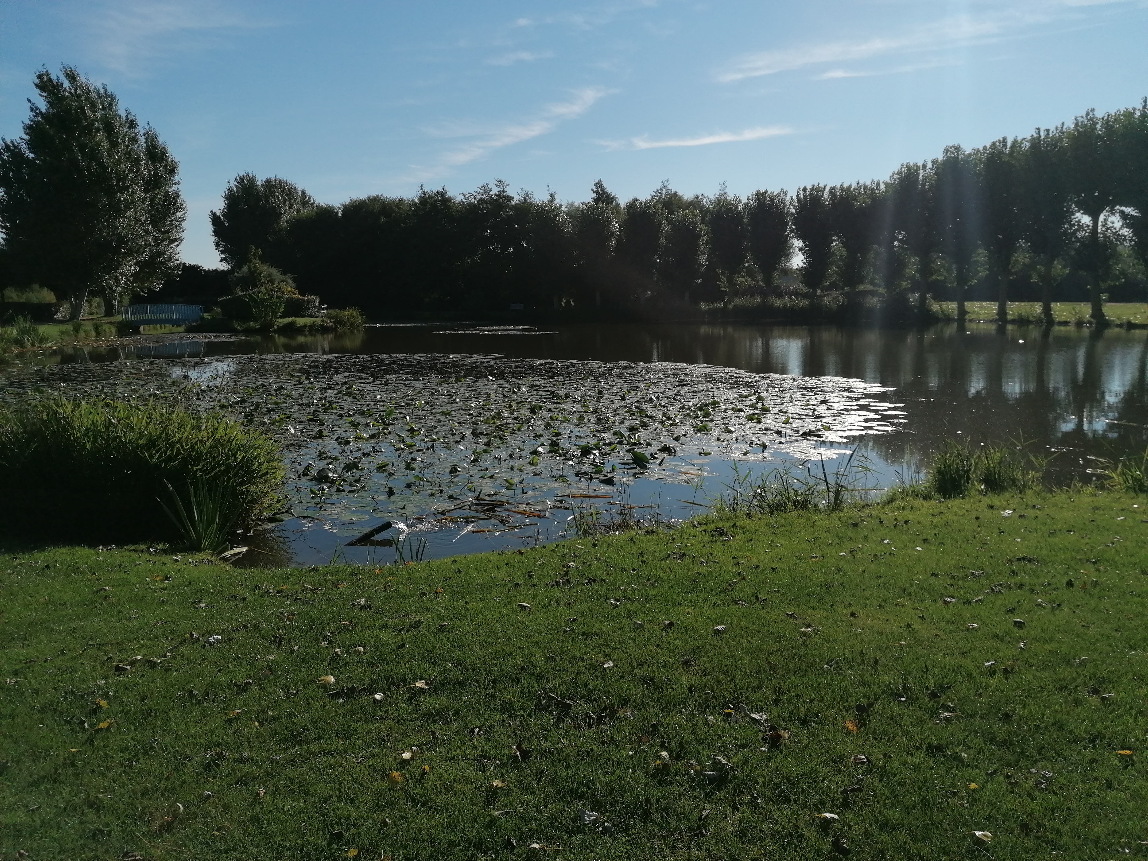 Photo n° 5 de l'avis de Dominico.a fait le 21/09/2021 à 08:46