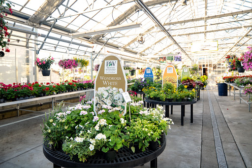 Florist «Dundalk Florist», reviews and photos, 7233 German Hill Rd, Dundalk, MD 21222, USA