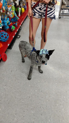 Pet Supply Store «Petco Animal Supplies», reviews and photos, 390 East 525 North, Harrisville, UT 84404, USA