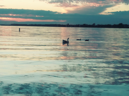 Movie Theater «Cinemark 12 Rockwall», reviews and photos, 2125 Summer Lee Dr, Rockwall, TX 75032, USA