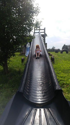 Produce Market «Buckland Farm Market», reviews and photos, 4484 Lee Hwy, Warrenton, VA 20187, USA