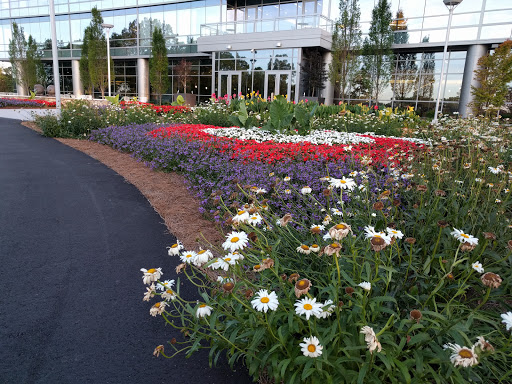 Insurance Company «Metlife GTO», reviews and photos