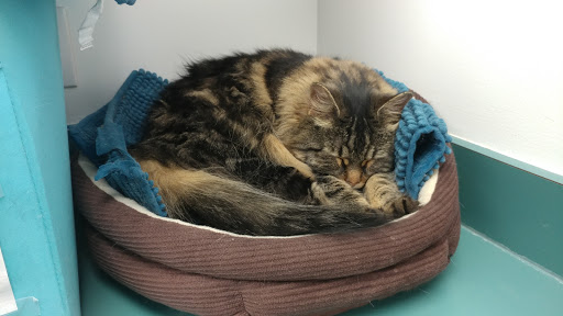 8014 Bellona Ave, Towson, MD 21204, USA