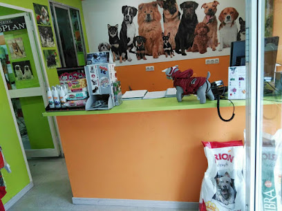 Peluquería Canina Reyes - Servicios para mascota en Sevilla