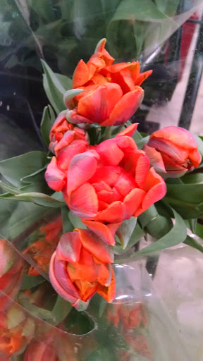 Florist «Portland Flower Market», reviews and photos, 3624 N Leverman St, Portland, OR 97217, USA