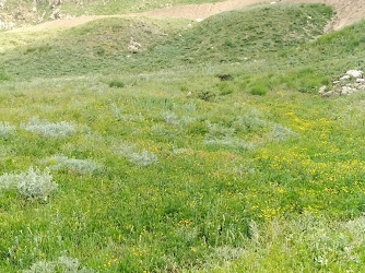 Günyazı Köyü Tekeli Mezrası İlköğretim Okulu