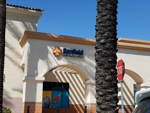 Pet Supply Store «PetSmart», reviews and photos, 10940 E Foothill Blvd, Rancho Cucamonga, CA 91730, USA