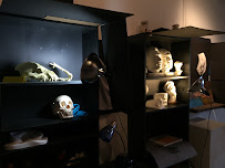 School of Realist Art - Photo 4 - Car repair in Mission, KS, Kansas City