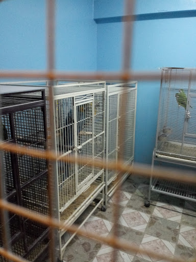 Pet Store «Paraiso De Aves», reviews and photos, 1836 W 47th St, Chicago, IL 60609, USA