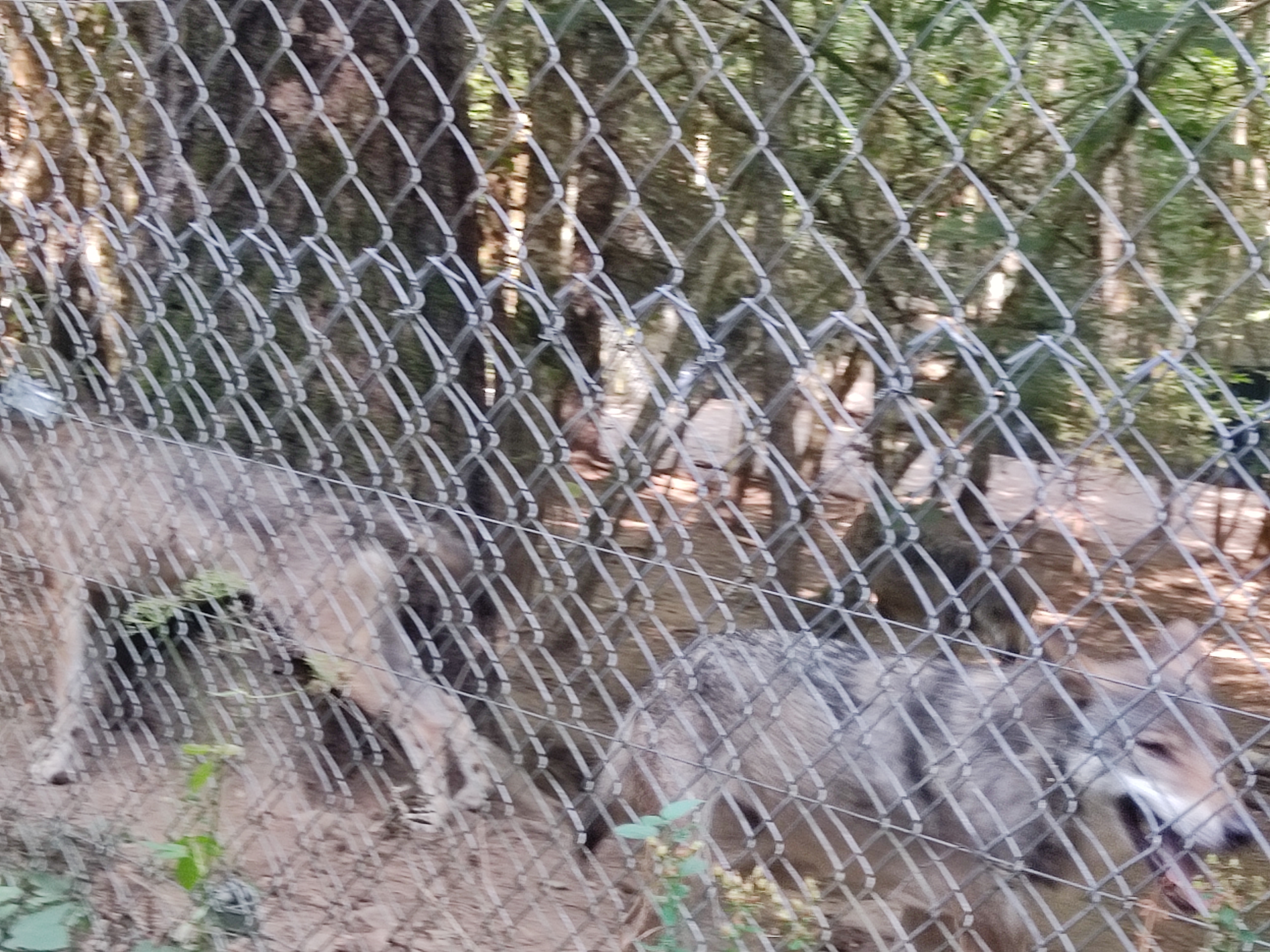 Photo n° 9 de l'avis de Delphine.e fait le 17/08/2022 à 19:26