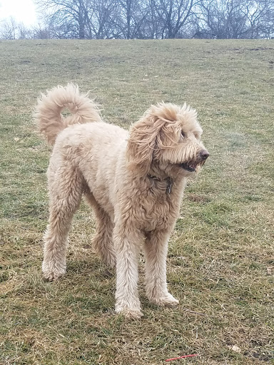 Park «Horner Park», reviews and photos, 2741 W Montrose Ave, Chicago, IL 60618, USA