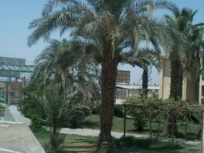 شركة الصناعات الذيوت المتكامله